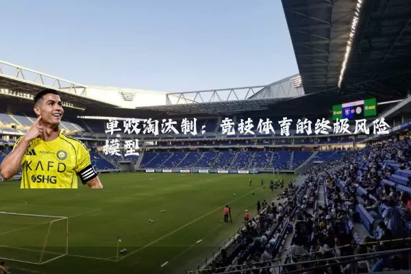 单败淘汰制：竞技体育的终极风险模型